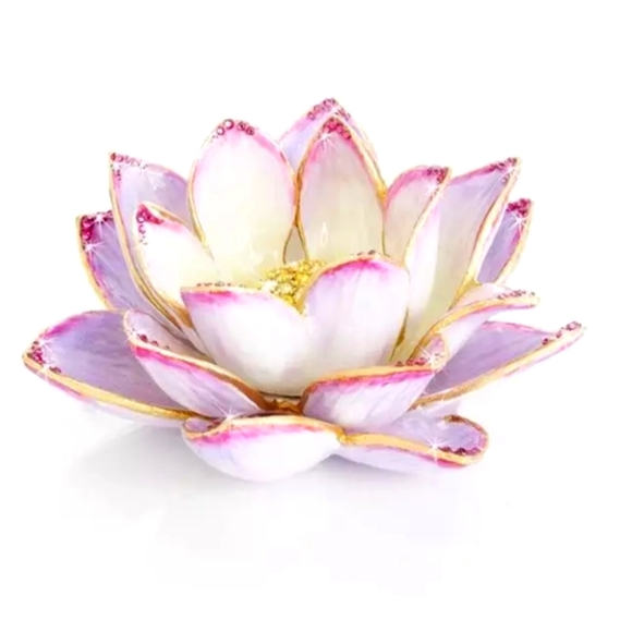 Jay - Picture 4 of 7